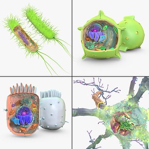 Cell Collection