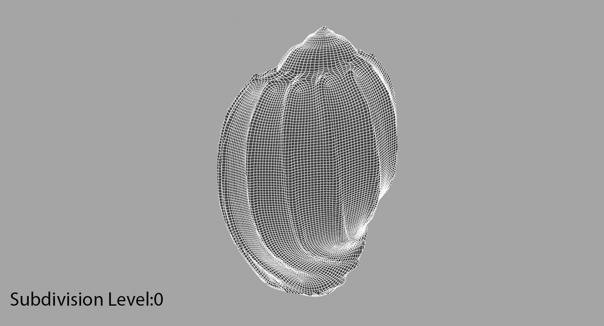 3D Model Seashell Sea Shell - TurboSquid 1274140