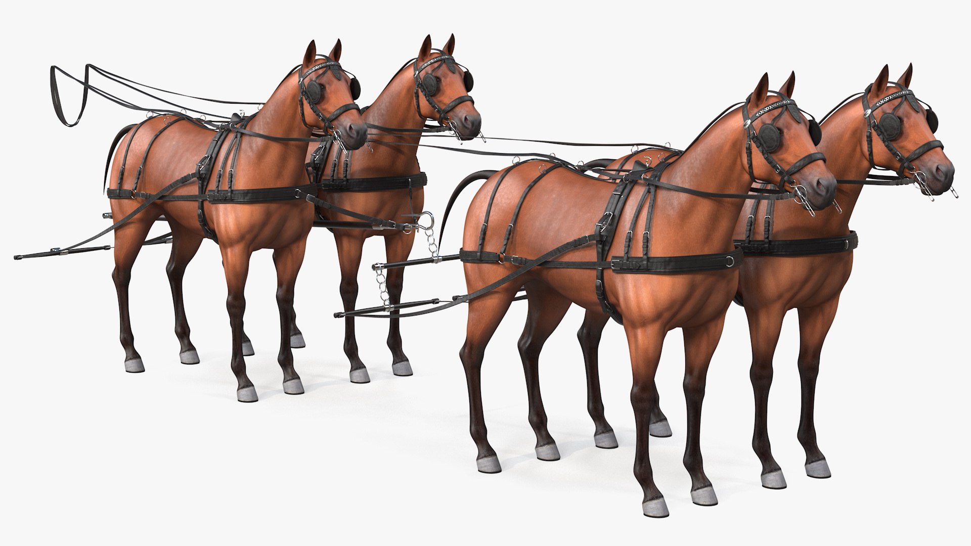 Team of Four Leather Harness Rigged 3D model preview