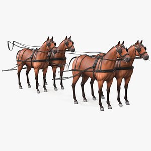 Team of Four Leather Harness Rigged