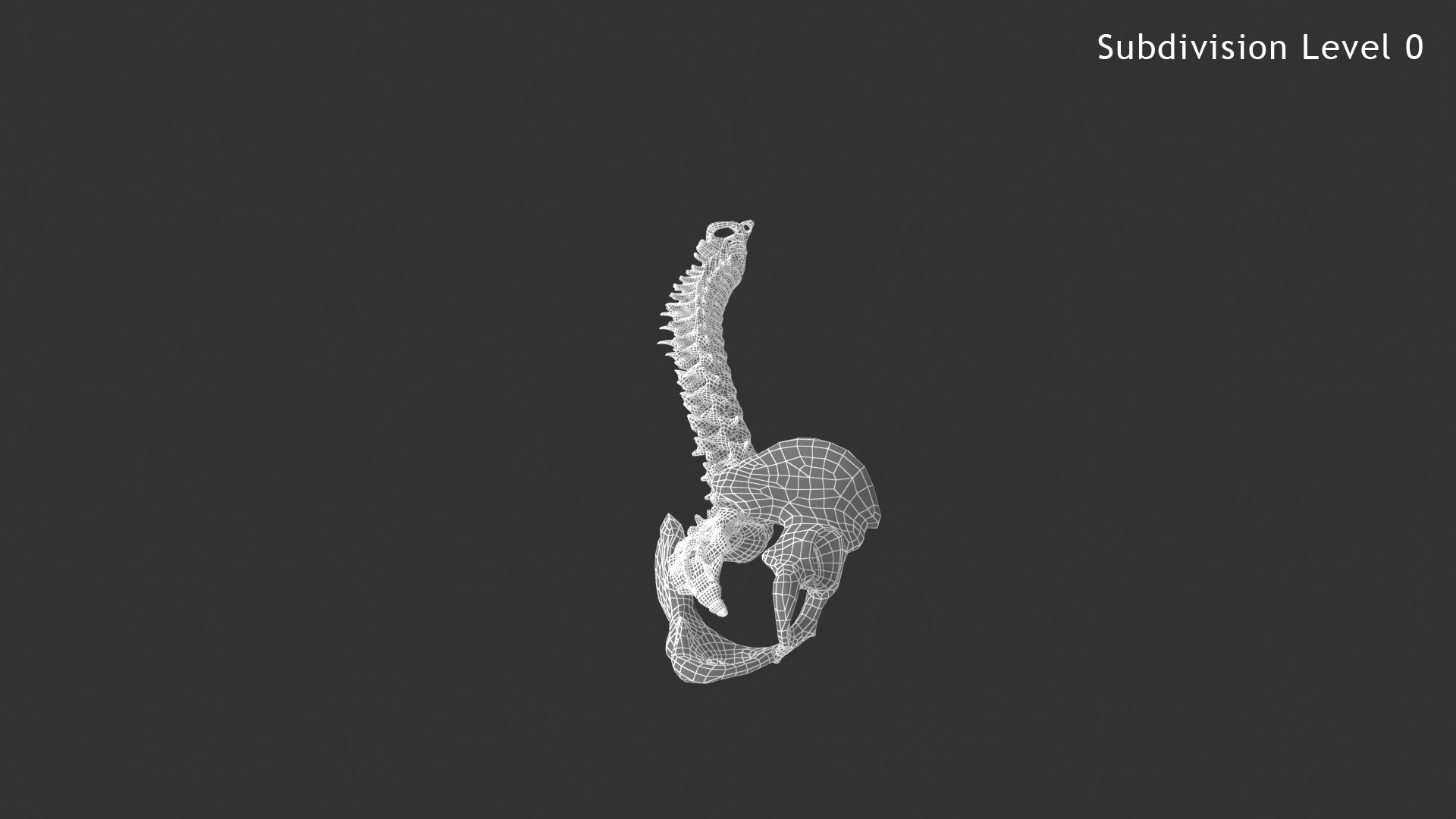 spinal cord ma https://p.turbosquid.com/ts-thumb/GB/sRVOj9/ZfUYpt0C/024_spinalcord_sub0_v010203/png/1603518196/1920x1080/fit_q87/e8c3175e122d788bd5111f7c6d13bd1d81399e0e/024_spinalcord_sub0_v010203.jpg
