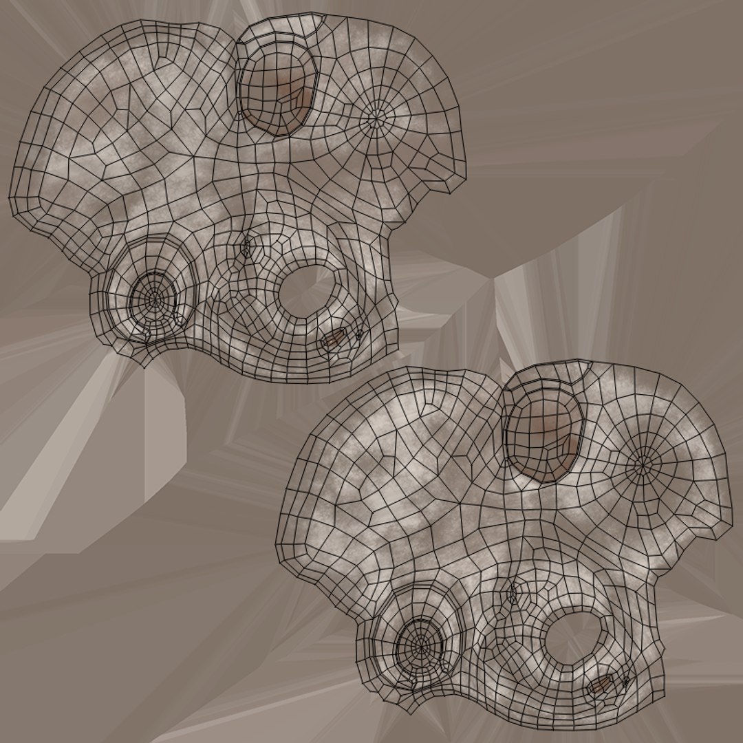 spinal cord ma https://p.turbosquid.com/ts-thumb/GB/sRVOj9/cPOMJQGc/hip_bone_uv/png/1603519095/1920x1080/fit_q87/594e813717d314ba751da21cec40069d82418959/hip_bone_uv.jpg