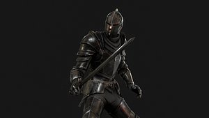 3D Dark Knight NPC 1 model
