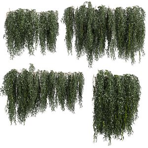 plant vol 939 - bush - creeper - ivy model