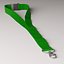 Lanyard