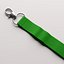 Lanyard
