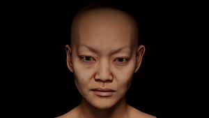 Retopologized Head Scan Miyaguchi Hoshie 3D model