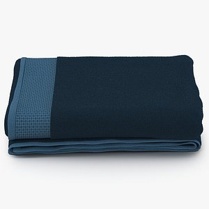 towel blue fur 3d model