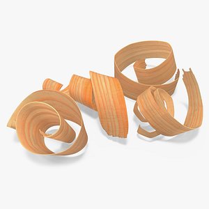 Wood Chips 3D model