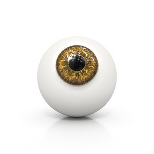Eye Ball Brown
