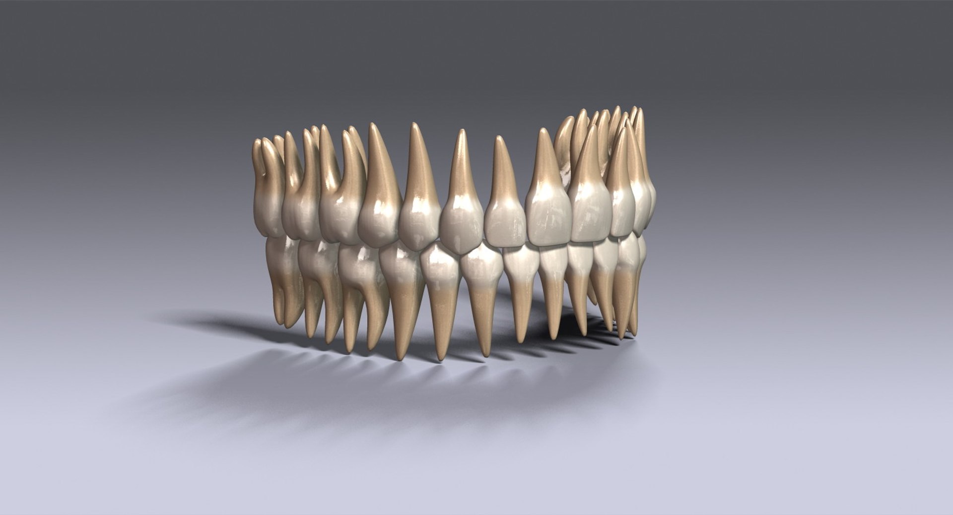 3ds Teeth V2 0