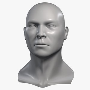 3d model realistic male head