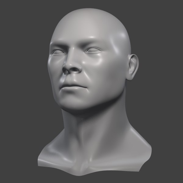 3d model realistic male head