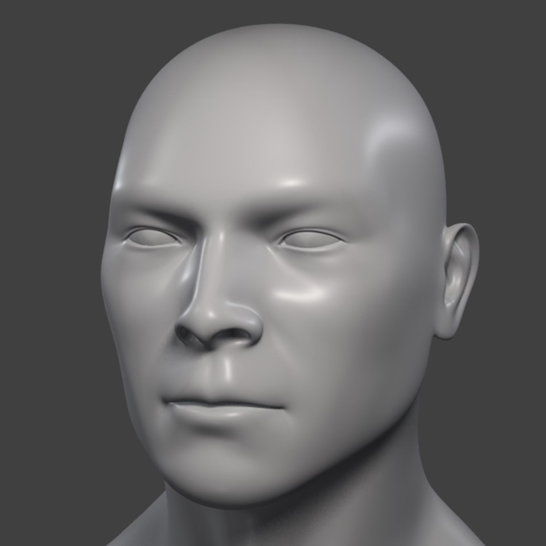 3d Model Realistic Male Head