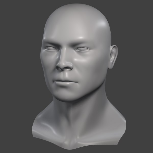 3d model realistic male head