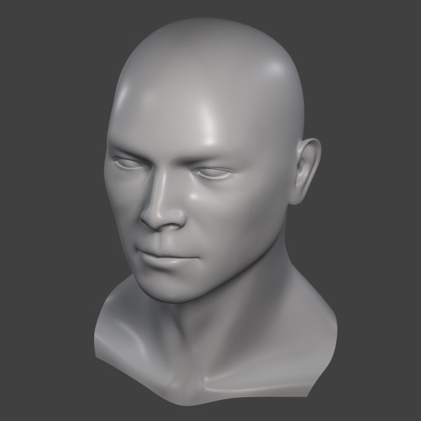 3d model realistic male head