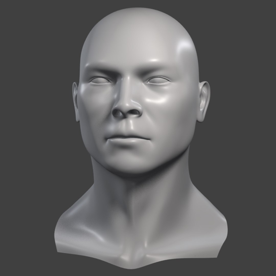 3d Model Realistic Male Head