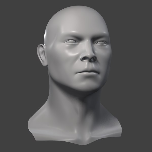 3d model realistic male head