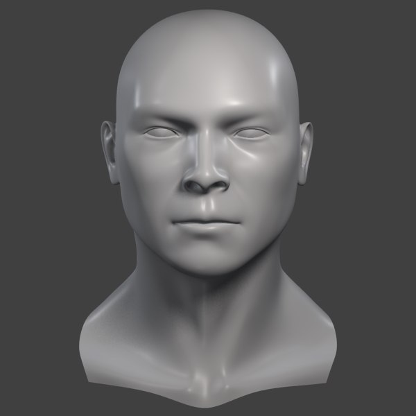 3d model realistic male head