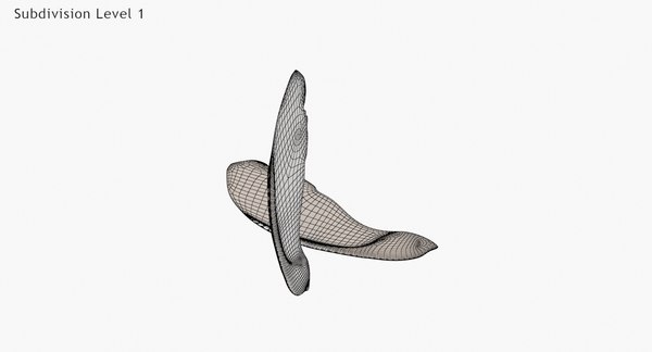 단풍 나무 씨앗 3D 모델 - TurboSquid 1404033
