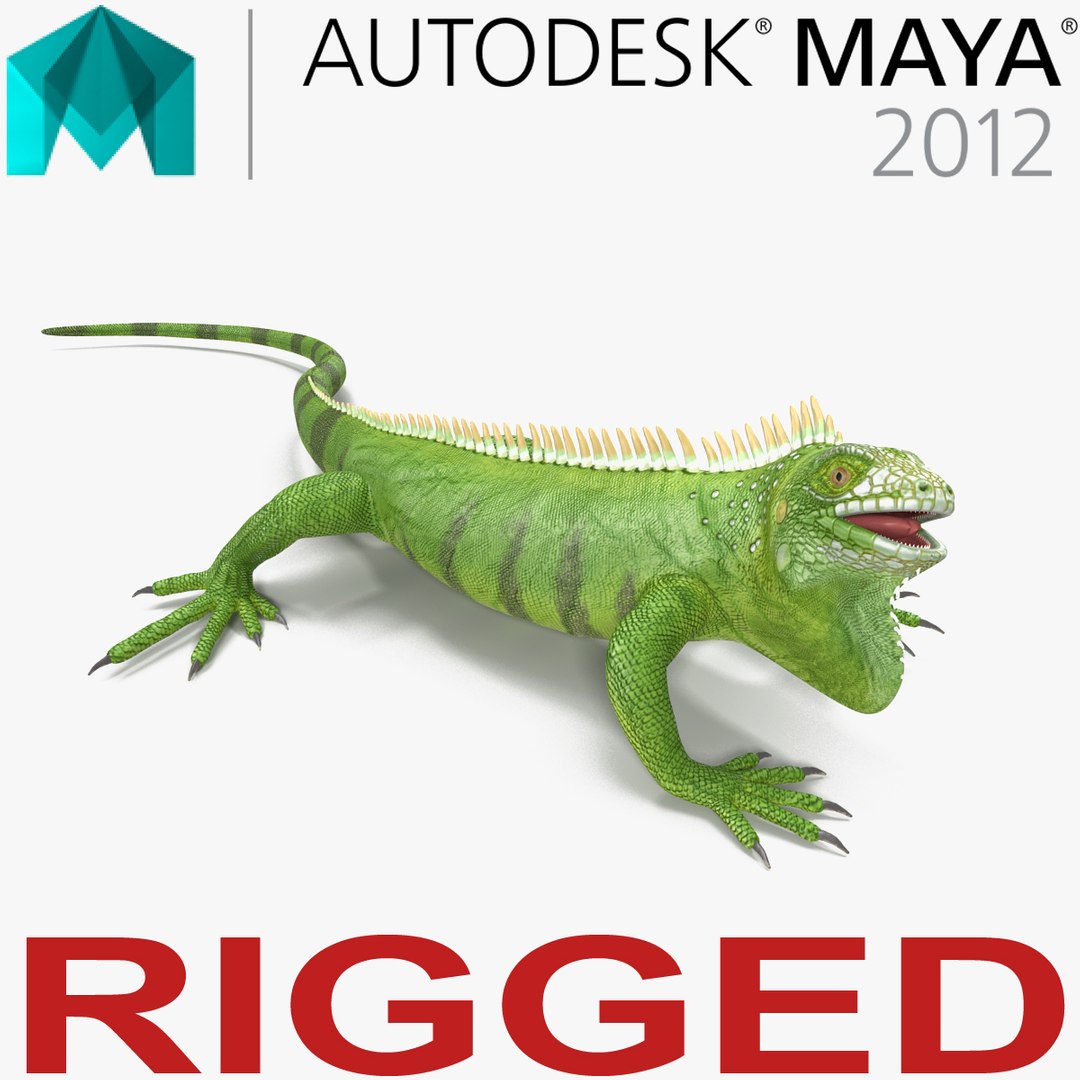 Green Iguana Rigged for Maya 3D model preview