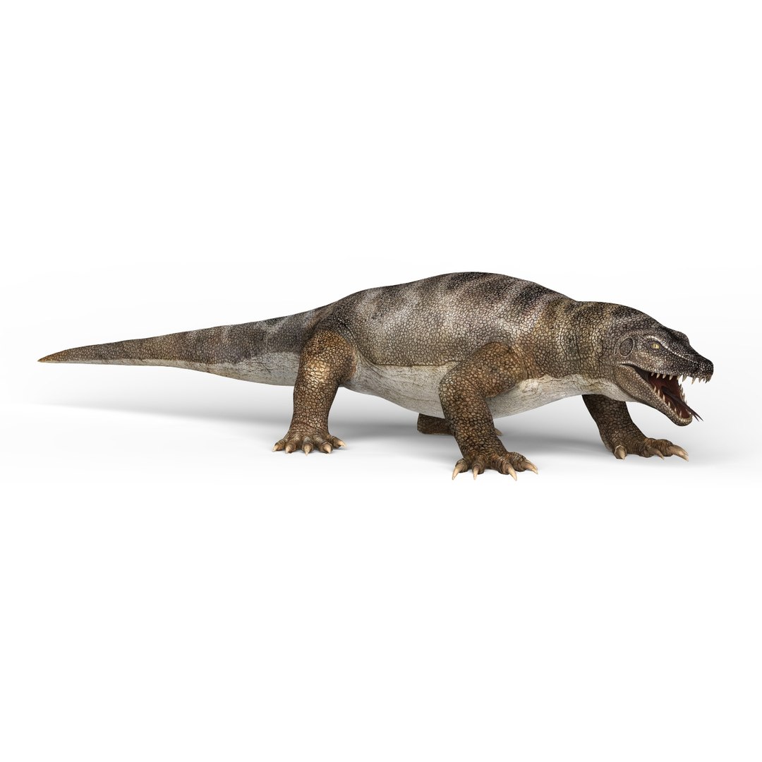 3D komodo dragon model https://p.turbosquid.com/ts-thumb/GC/zf94ad/DpkLT8gH/komododragon01/jpg/1583228188/1920x1080/fit_q87/e34e91d5d1983b6ec37d570987a9aeedee947277/komododragon01.jpg