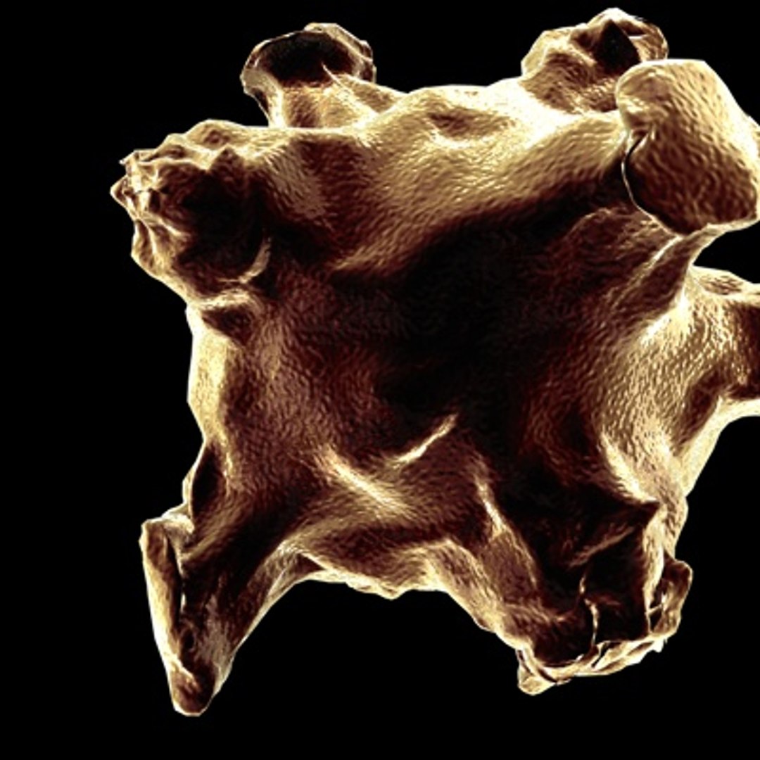 obj influenza virus https://p.turbosquid.com/ts-thumb/GD/8Wnq5F/DX6KyhDM/2/jpg/1255362211/1920x1080/fit_q87/1fa3797f65c661cdde9ea577f335ad9679568f2d/2.jpg