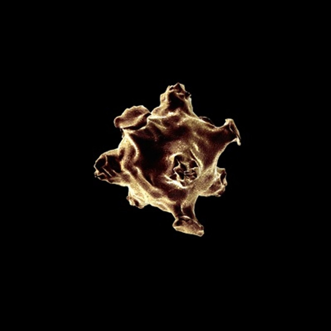 obj influenza virus https://p.turbosquid.com/ts-thumb/GD/8Wnq5F/G4Ji62X7/3/jpg/1255362216/1920x1080/fit_q87/a64e336edabd6303ebe11104dc2bc92358d75723/3.jpg