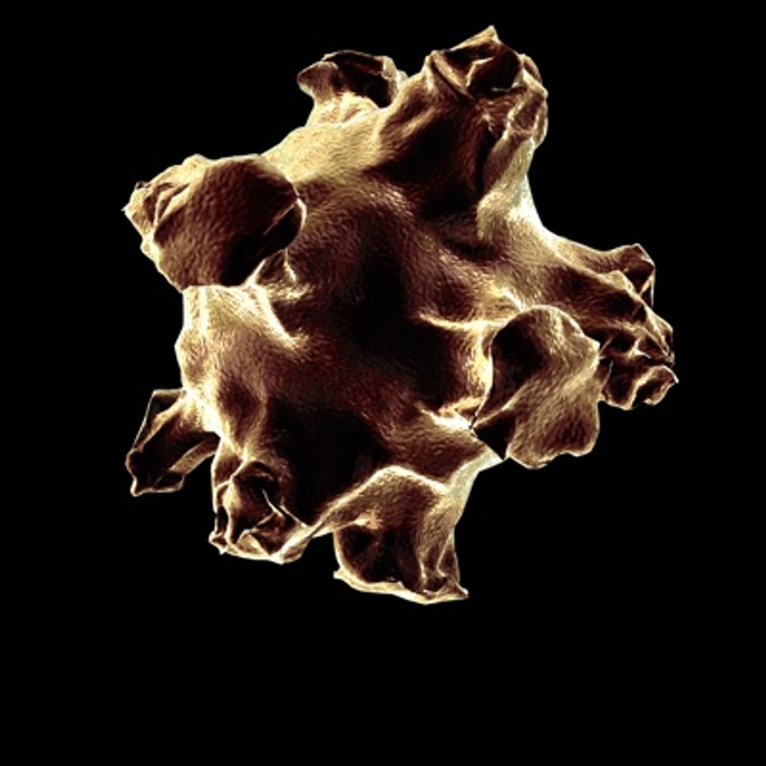 obj influenza virus https://p.turbosquid.com/ts-thumb/GD/8Wnq5F/VljEExp1/1/jpg/1255362207/1920x1080/fit_q87/2b08921be84c634c872db363094a9da7040b1243/1.jpg