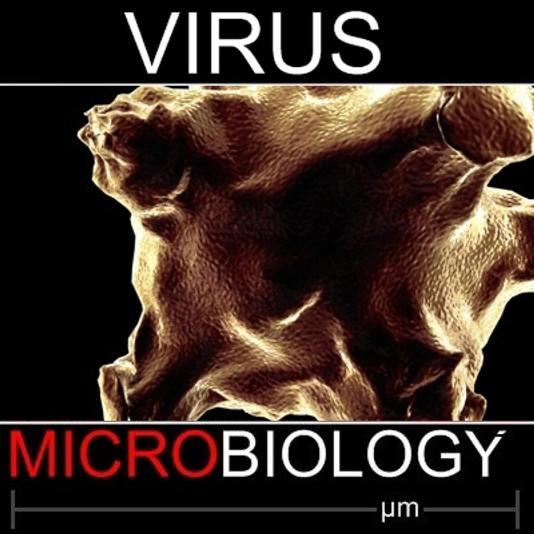 obj influenza virus https://p.turbosquid.com/ts-thumb/GD/8Wnq5F/hh9H1N9w/compile/jpg/1255362220/1920x1080/fit_q87/154f1e56ee29e004f88031589289665cc06a5047/compile.jpg