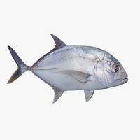 Trevally