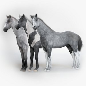 3D rigged stallion horse model