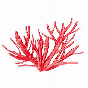 3D model Finger Coral Reef