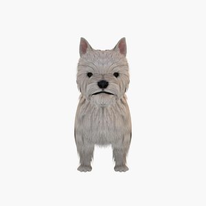 3d dog white terrier model