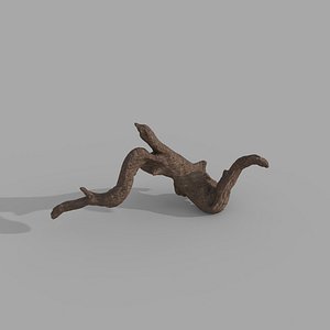 wood drift 3D model