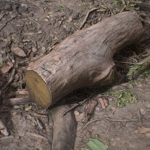 wooden log woodenlog model