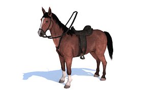horse chestnut animation 3D model