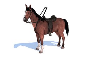 Horse Chestnut Rigg Animated SL