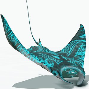 Whaitere The Enchanted Stingray