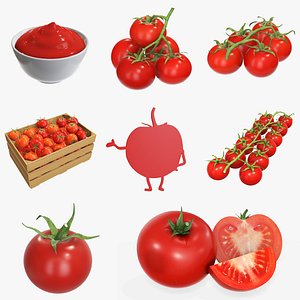 3D We love Tomato model