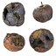 3d rotten decayed apples model