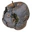 3d rotten decayed apples model