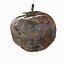 3d rotten decayed apples model