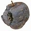 3d rotten decayed apples model
