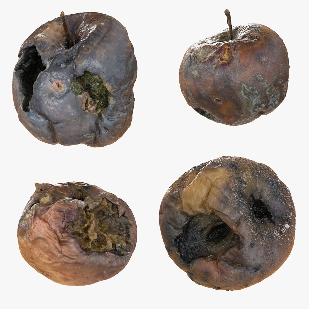 3d rotten decayed apples model https://p.turbosquid.com/ts-thumb/GE/KhUZkz/bE4P08Zt/z/jpg/1422909838/1920x1080/fit_q87/75560ca369d98e2c5a6c6c91c09c056a8918d55f/z.jpg