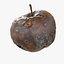 3d rotten decayed apples model