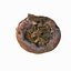 3d rotten decayed apples model