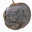 3d rotten decayed apples model