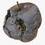 3d rotten decayed apples model