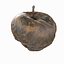 3d rotten decayed apples model